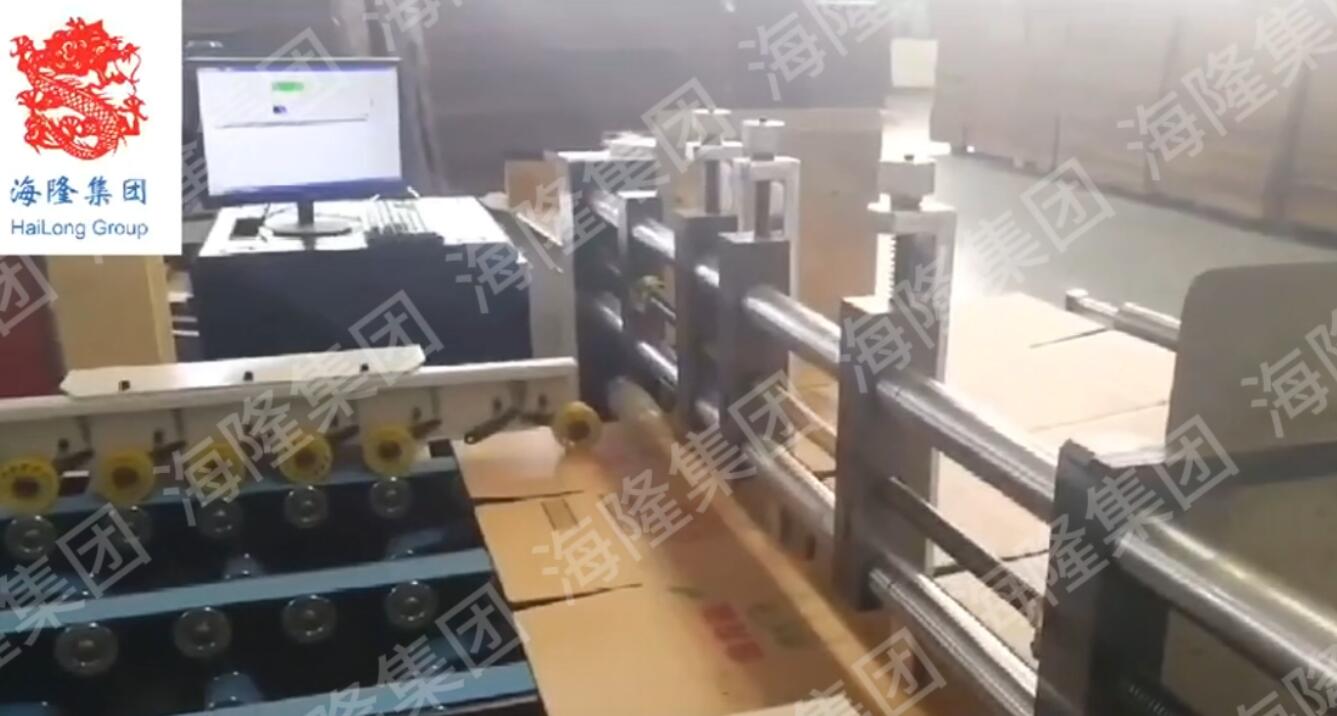 Golden Dragon Fish Outer Box Coding Case